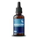Magion